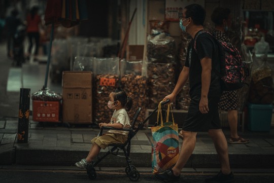 揭秘风水视角下的十二生肖代表解析