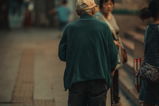 属猴人养什么植物能催旺财运？最新风水指南